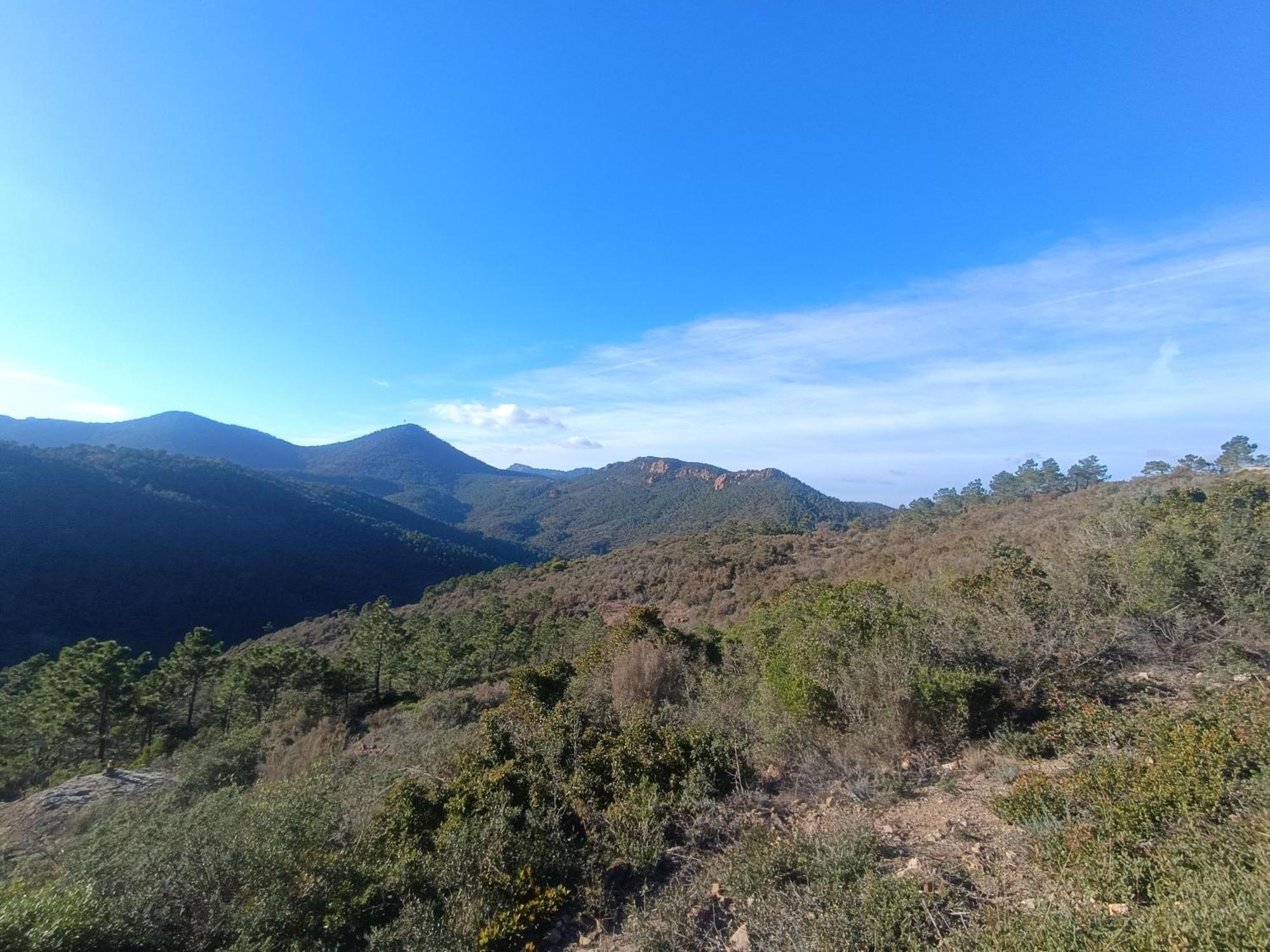 Magnifique Vue Mer Et Piscine - Les Cles De L Esterel テウル・シュル・メール エクステリア 写真