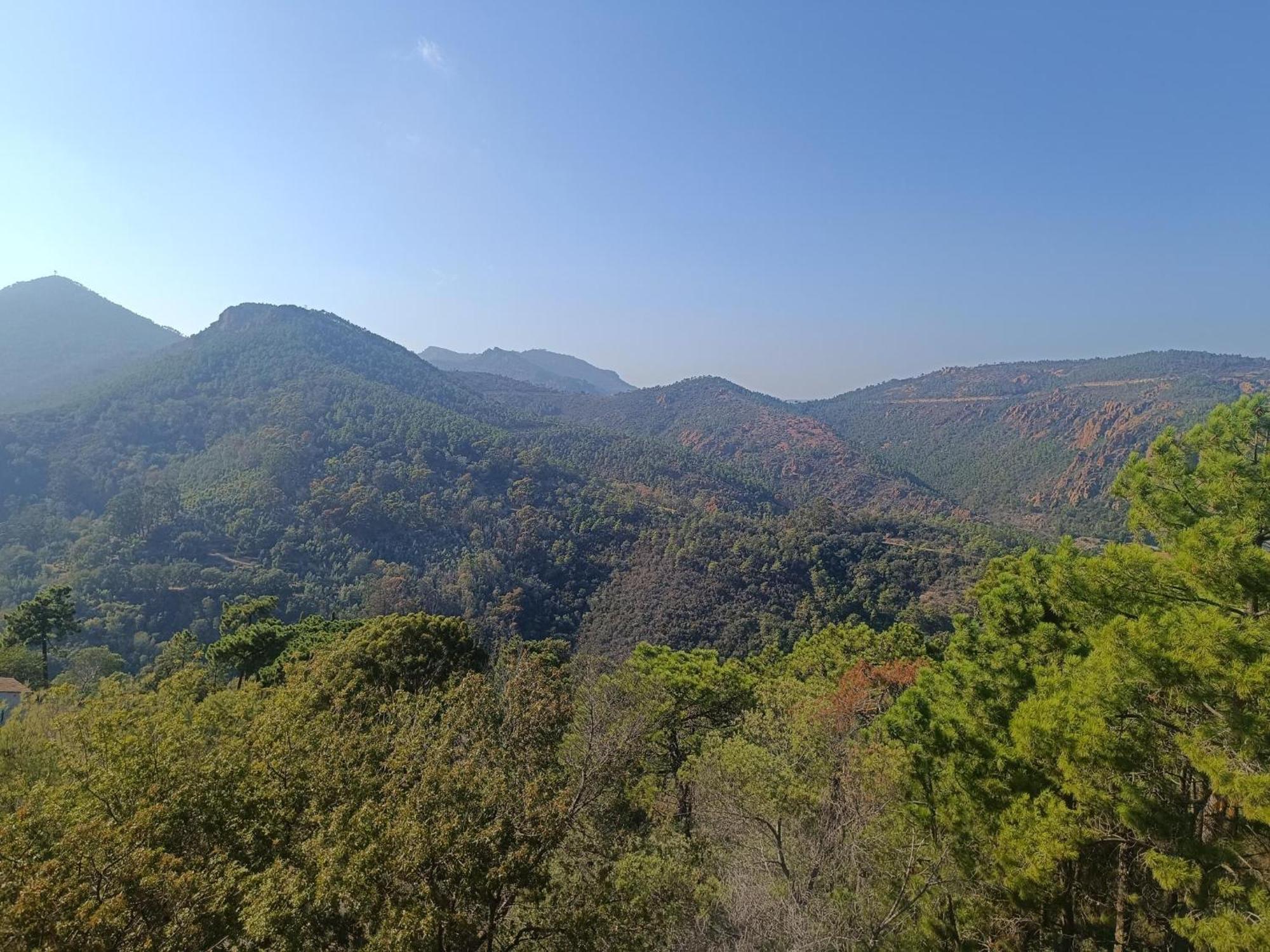 Magnifique Vue Mer Et Piscine - Les Cles De L Esterel テウル・シュル・メール エクステリア 写真