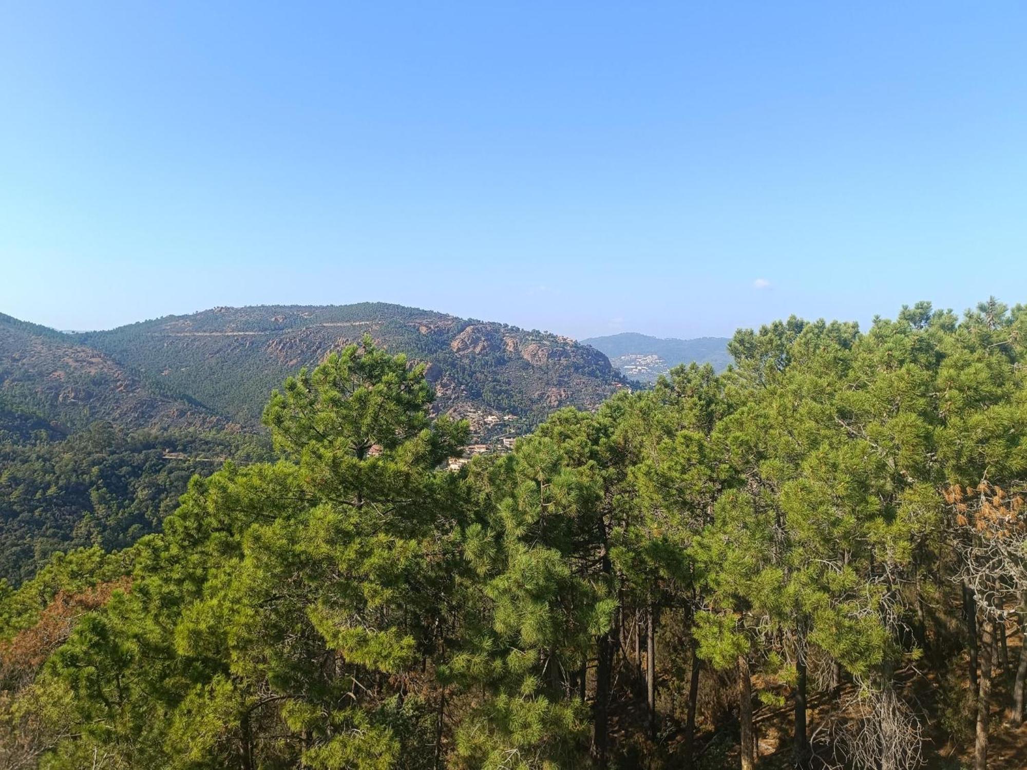 Magnifique Vue Mer Et Piscine - Les Cles De L Esterel テウル・シュル・メール エクステリア 写真